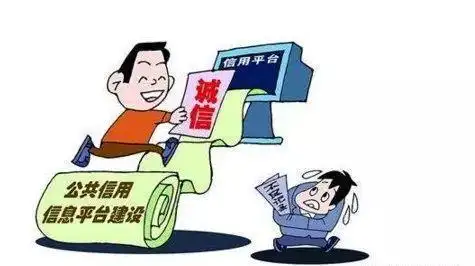 蜘蛛池是否能配合低频爬虫同步策略